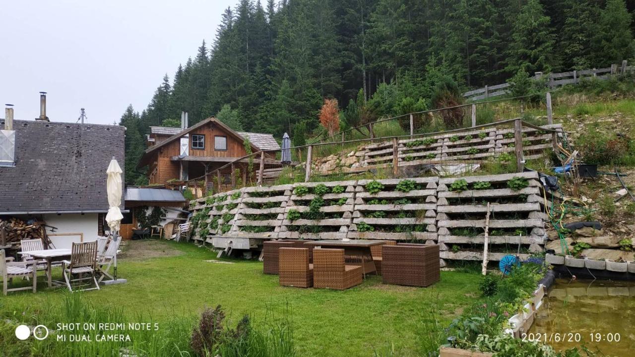 Chalet Steiermark Pusterwald Экстерьер фото