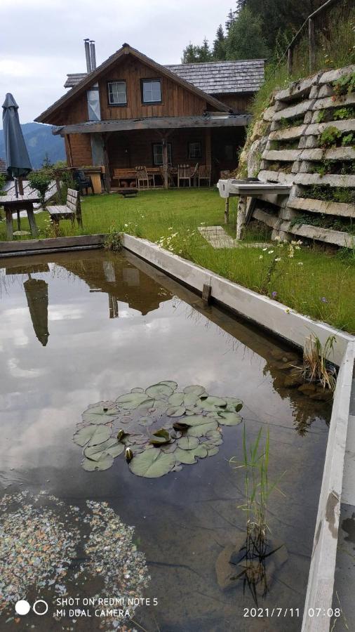Chalet Steiermark Pusterwald Экстерьер фото